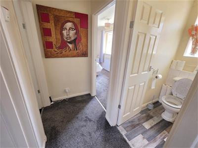 Picture 14